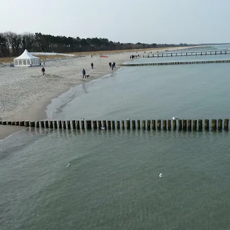 Gudrun, Luxury House